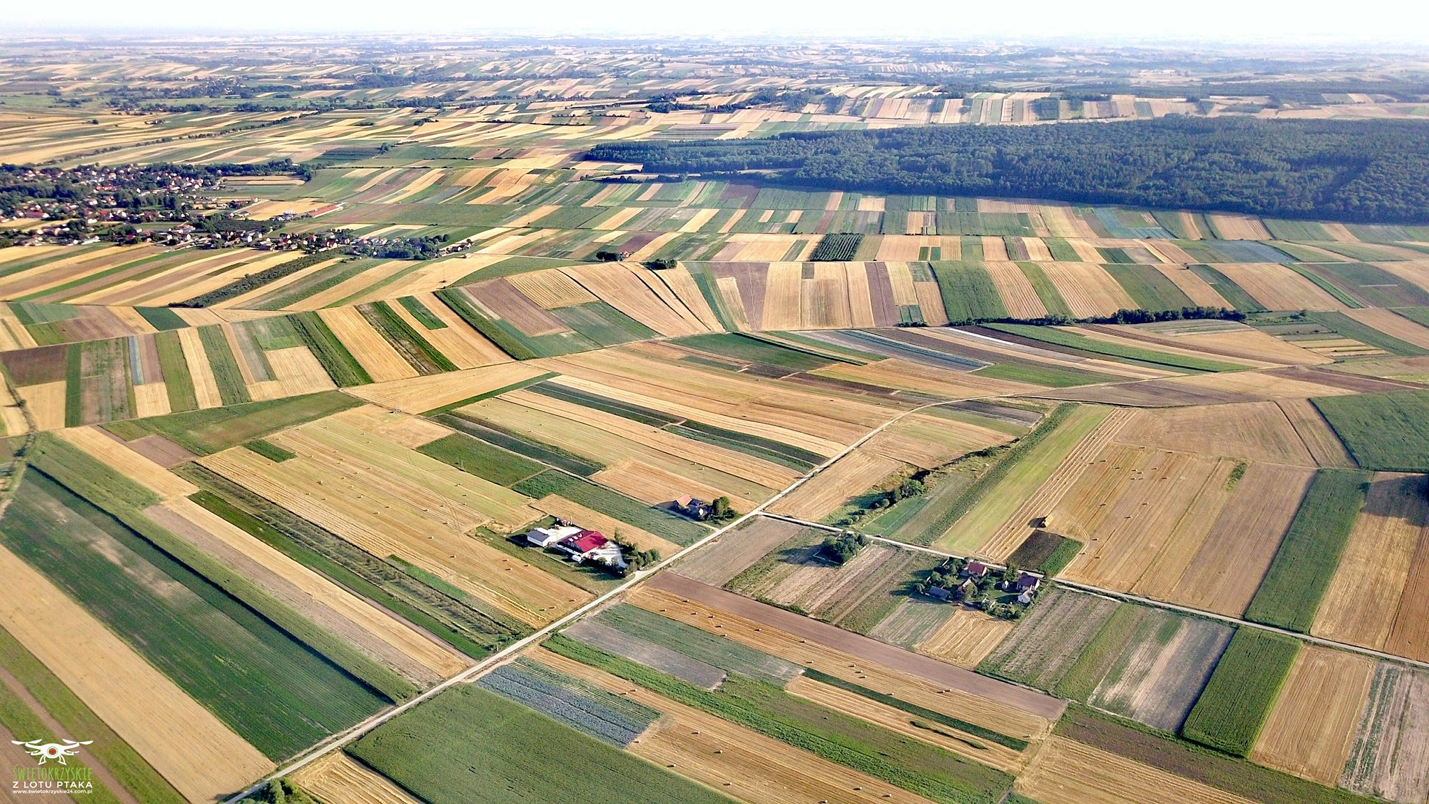 AGROPOLE tootmistehas – kuivatatud köögiviljad, ürdid, vürtsid